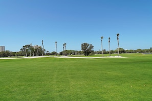 Ein Golfplatz mit Sandbunkern, Palmen und blauem Himmel.