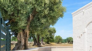 A paved entrance area with a white wall and a metal gate. - Tenuta Polignano - La Scuderia, a Rural Estate in Puglia.  Exposed Stone Arches (Puglia)