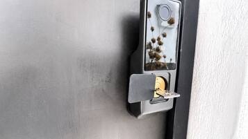 A door with a keyhole and a lock mechanism.