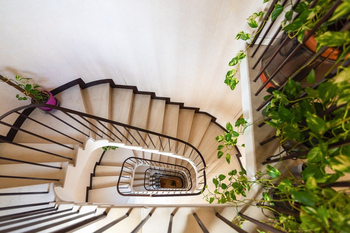 Una escalera en espiral con barandilla y peldaños, rodeada de vegetación.
