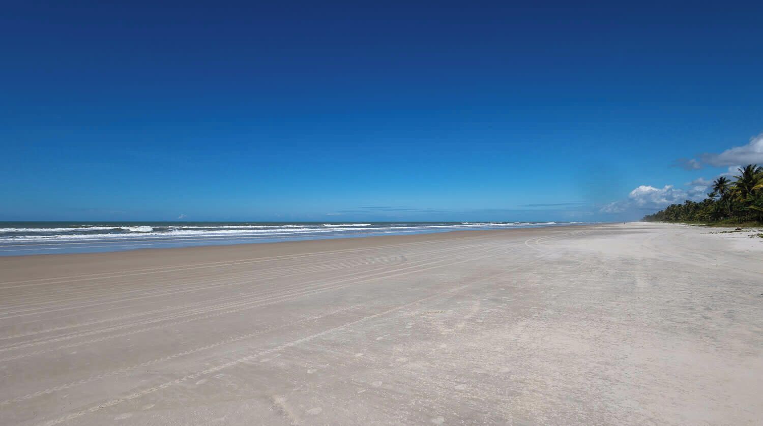 A wide sandy beach with gentle waves, a clear blue sky, and a line of palm trees in the distance.