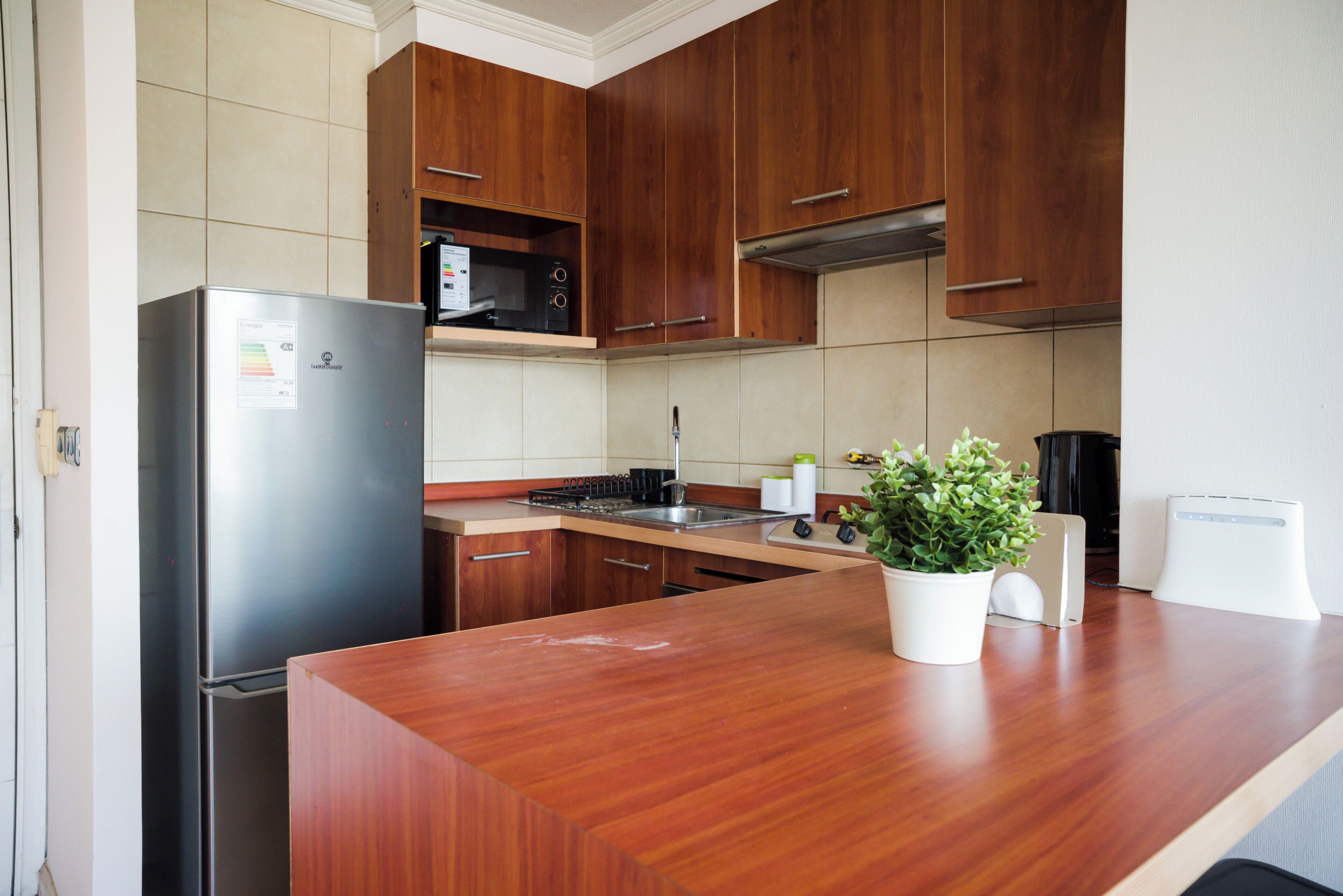 Una cocina con armarios de madera, un refrigerador de acero inoxidable, un microondas, un lavamanos y una planta en maceta sobre la encimera.