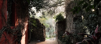 Casa X 
