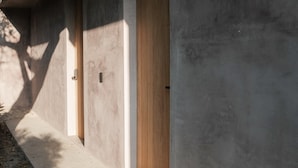 Käytävä, jossa on betoniseinä, puuovi ja seinälle heijastuva varjo.