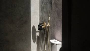 Une salle de bain moderne avec une baignoire sur pieds, une douche et des toilettes.