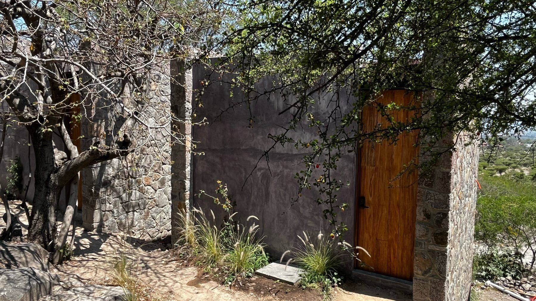 A stone building with a wooden door, surrounded by trees and vegetation.