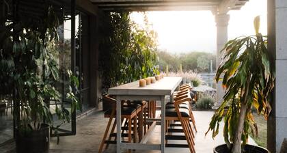 Casa X