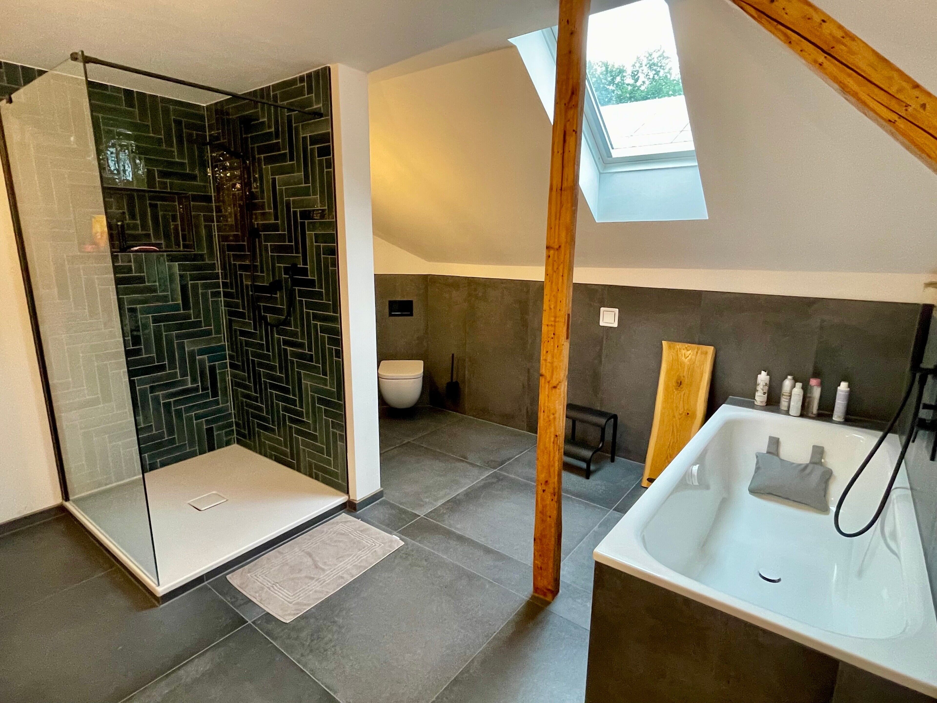 Dusche, Haartrockner, Handtücher