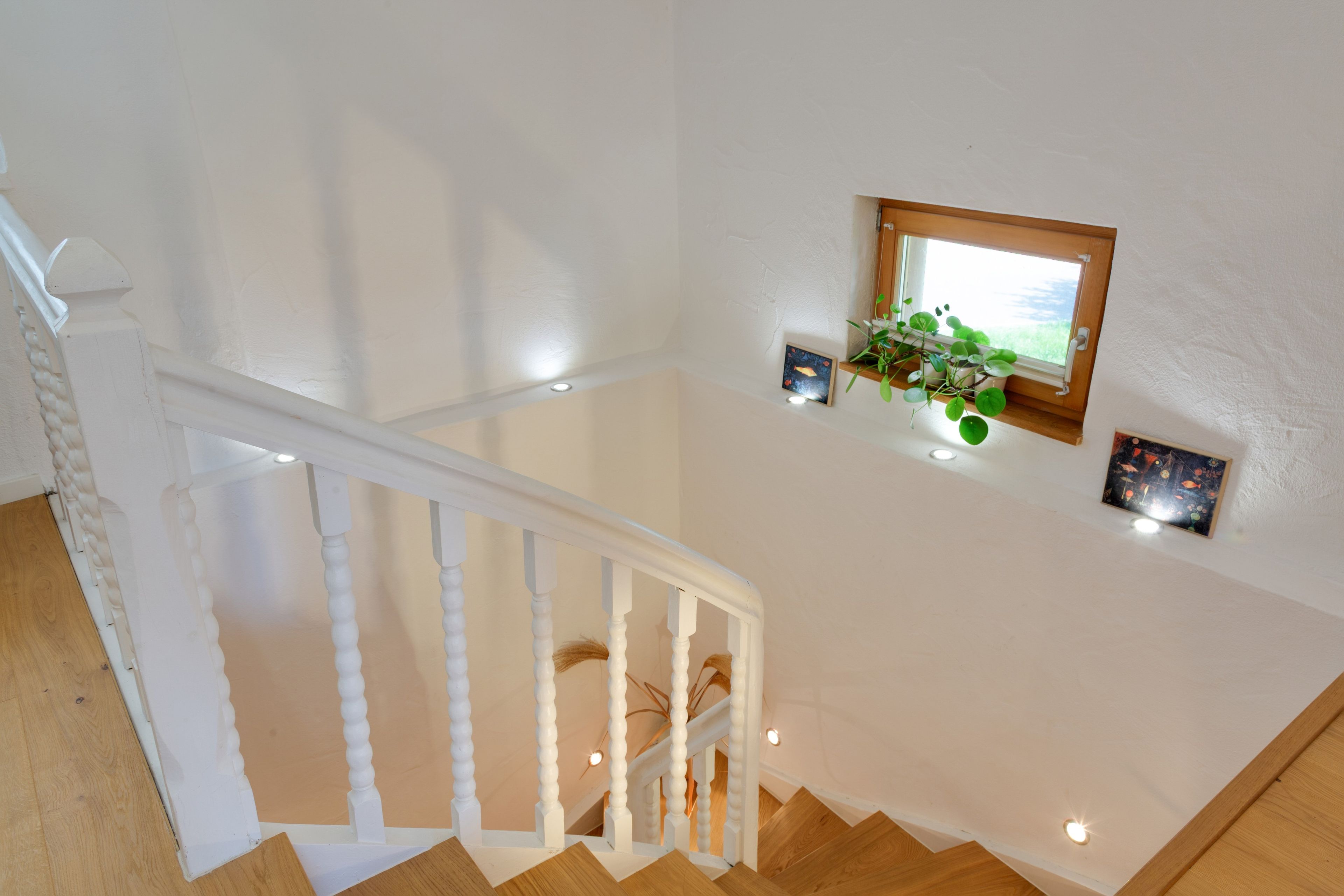 Een trap met witte balustrades, een houten leuning en een wandplank met een potplant en twee ingekaderde foto's.