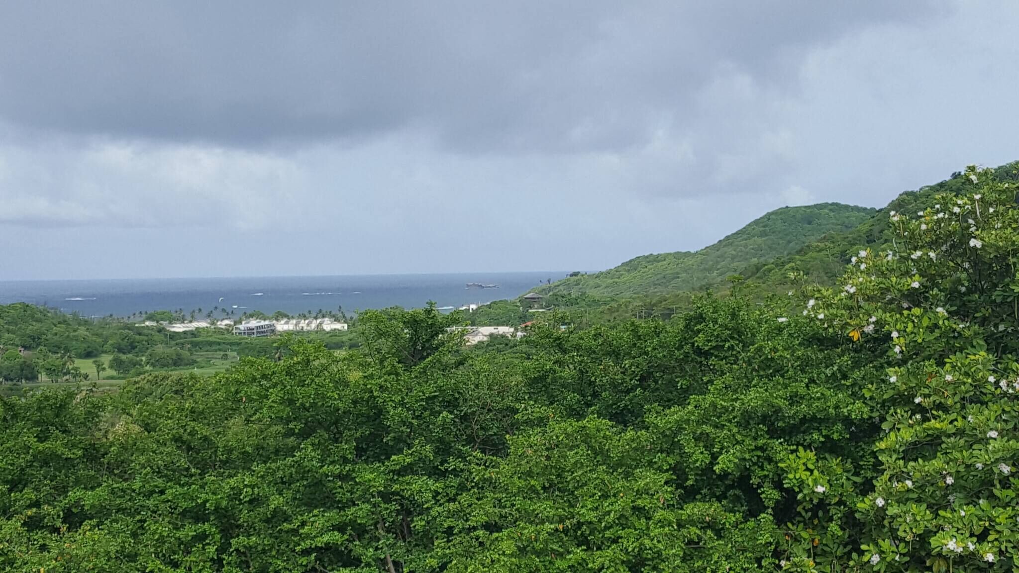 A lush green landscape with a view of the ocean and distant buildings.