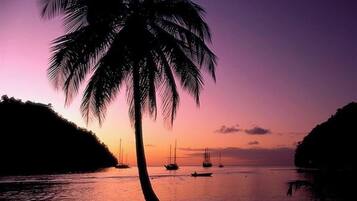 A sunset over a calm sea with boats and a prominent palm tree silhouette.