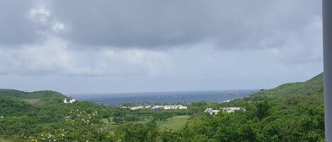 A coastal landscape with lush greenery, a view of the sea, and buildings in the distance.