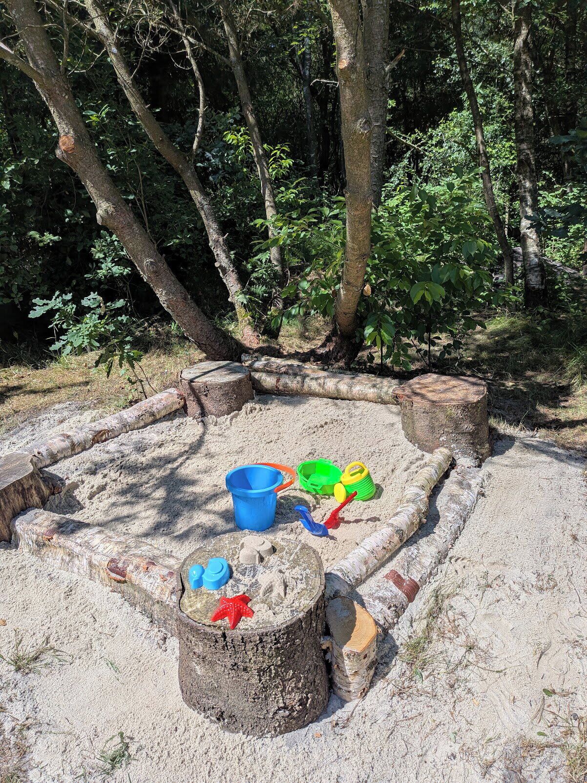 A sandy play area with a circular arrangement of logs, surrounded by trees.