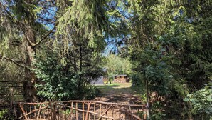 Une porte en bois rustique qui donne sur un sentier dans une zone boisée, avec un petit bâtiment visible au loin.