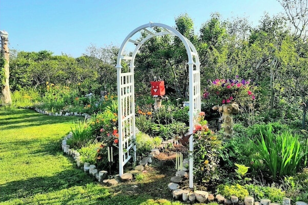 I'm waiting for the day when the vines will cover the back of this arch! This is the cottage garden, and it is a good place to take a walk and appreciate the four seasons of flowers in the longest and largest garden!❤️