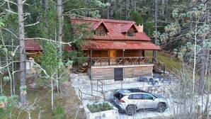 A cabin with a red roof, wooden exterior, and a car parked in front.