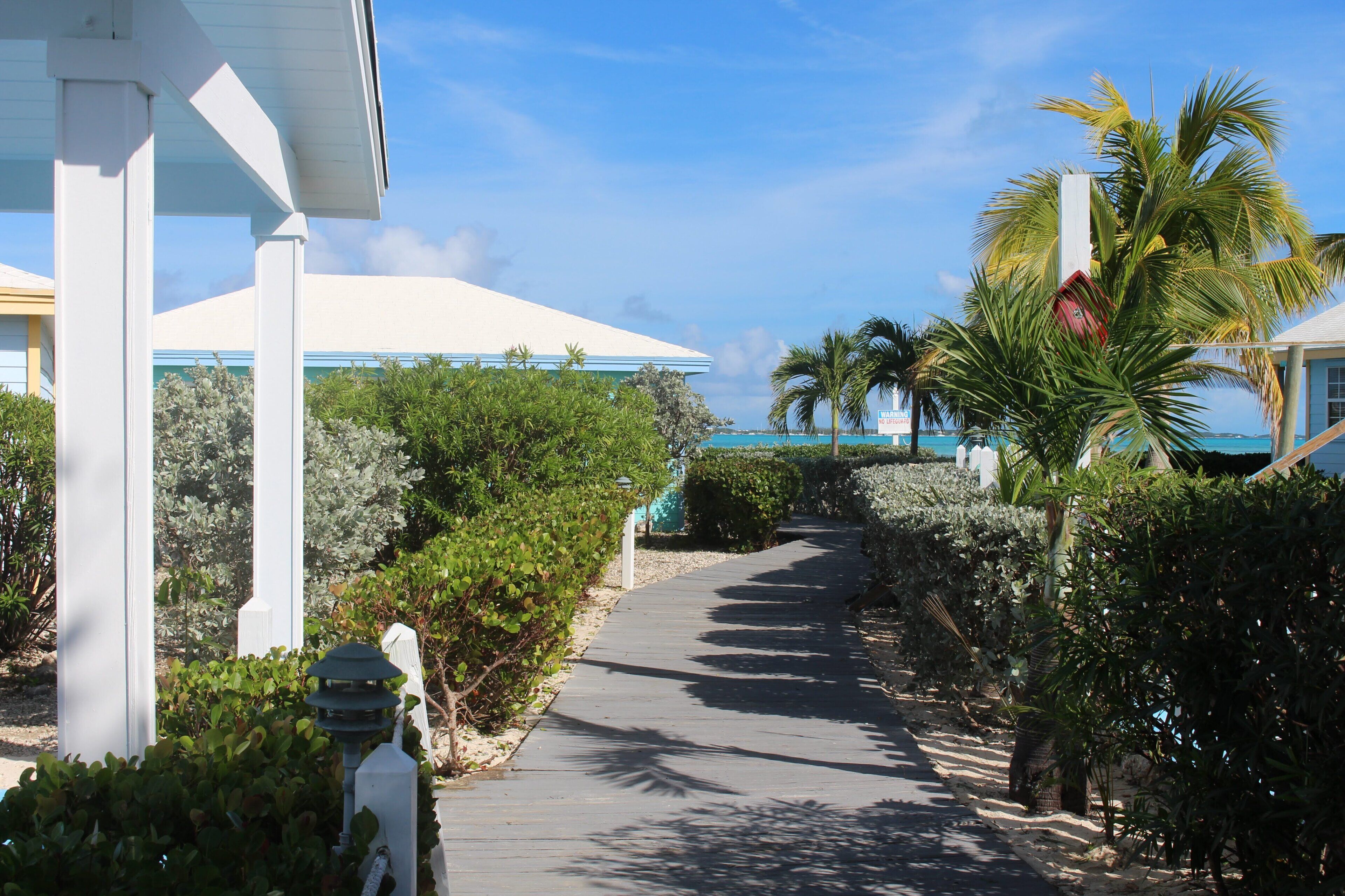 A pathway lined with greenery and palm trees, leading to a building with a white exterior and a blue roof.