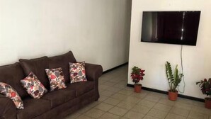 Ein Wohnzimmer mit braunem Sofa, gemusterten Kissen, einem an der Wand montierten Flachbildfernseher und Topfpflanzen.