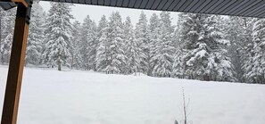 A snowy landscape with evergreen trees. - Comfortable 1-bedroom apartment with AC in Hamilton with beautiful views (Hamilton)