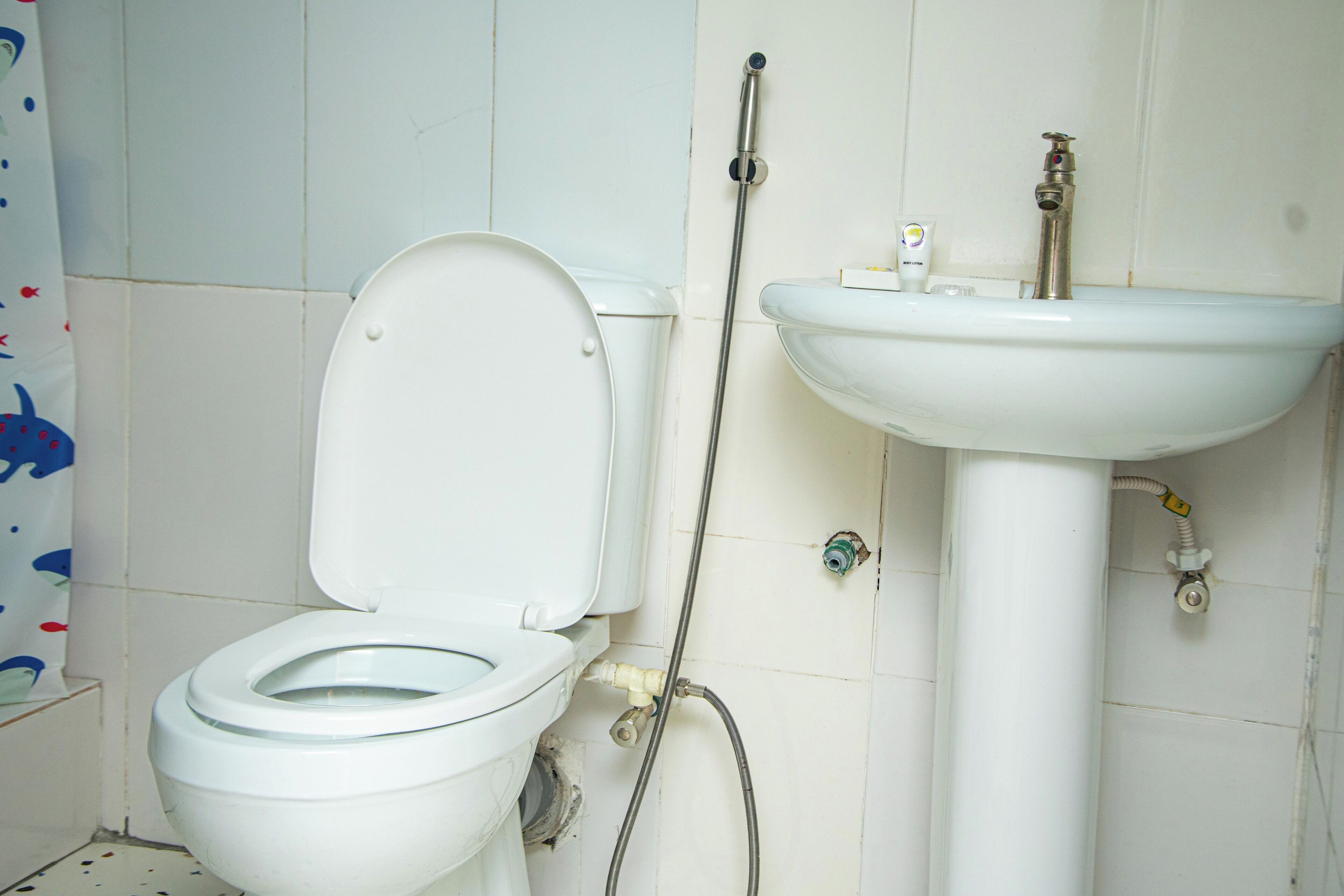 A bathroom with a toilet, a sink, and a shower.