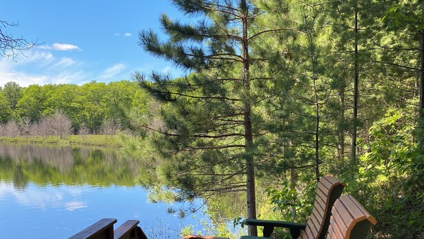 Une terrasse en bois, dotée de bancs, qui offre une vue sur un lac paisible, le tout entouré d’arbres.