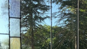 Vista a través de una ventana con un diseño de mosaico, mostrando un parque con árboles y un lago.