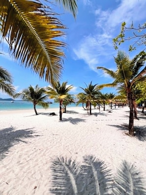 A beach with palm trees and a clear sky.