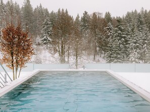 Pool - Vrbo Property (Todtnau)