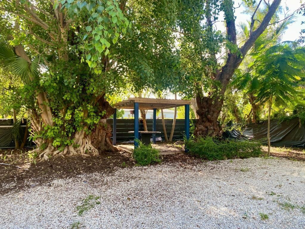 A gazebo under a large tree, surrounded by gravel and greenery.