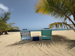 Zwei Strandstühle mit karierten und einfarbig grünen Kissen, eine blaue Kühlbox und eine Palme an einem sandigen Strand unter blauem Himmel.