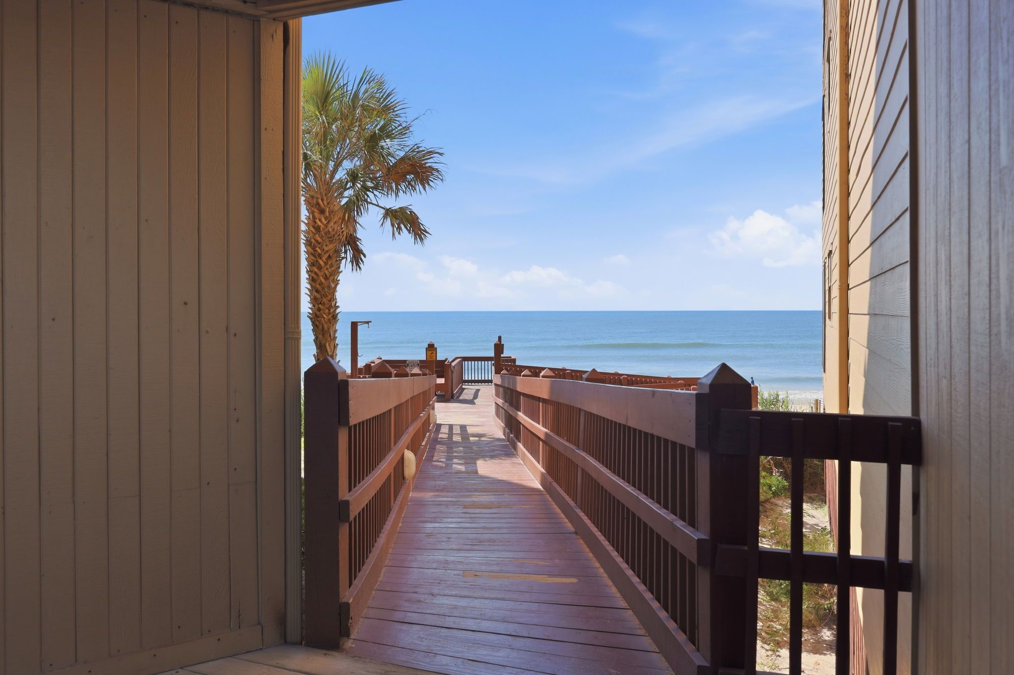 A wooden walkway leading to a beach with a palm tree and ocean view.