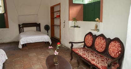 Discover La Cacaotera Real: a haven surrounded by cacao, nature, and history