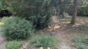 Un jardí amb un camí de grava, arbustos diversos i una cadira lliure.