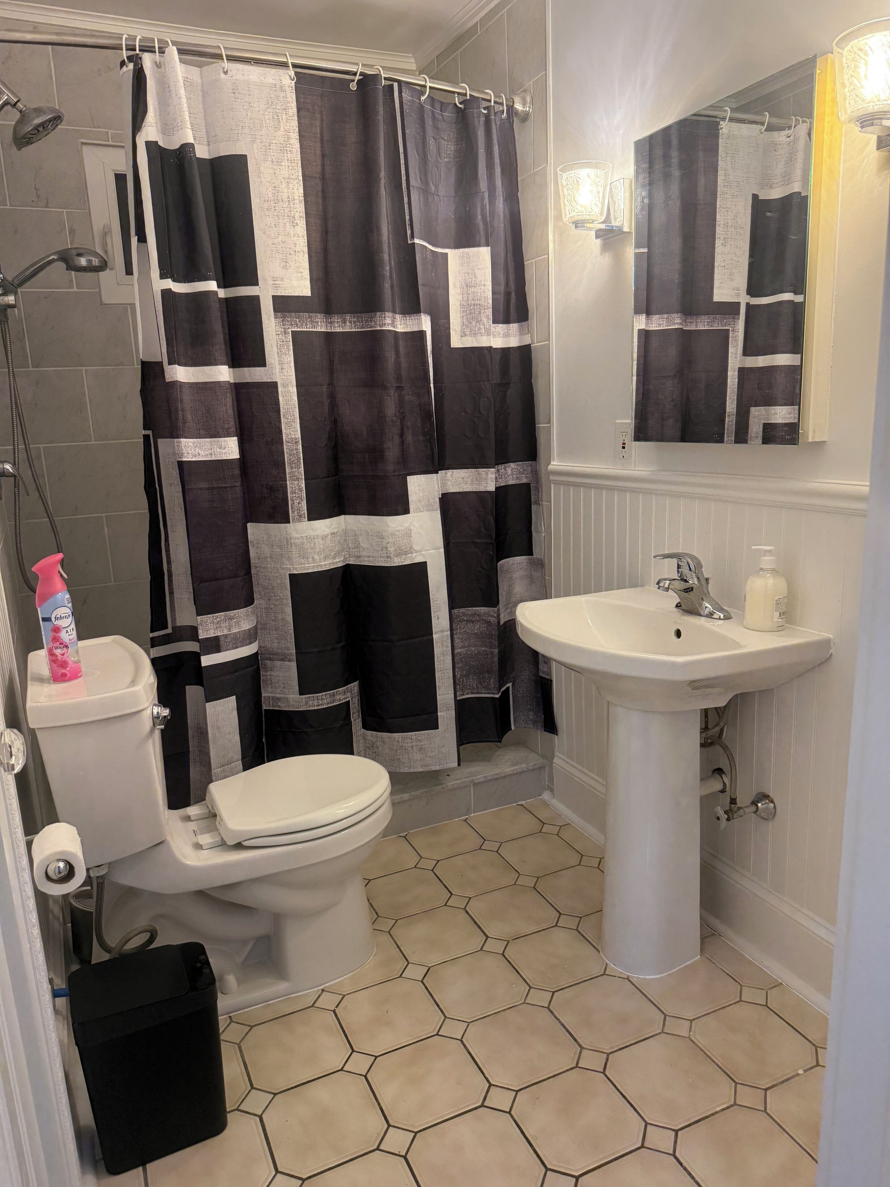 Soap, shampoo, toilet paper