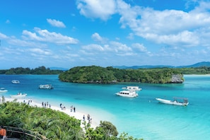 Beach nearby - SEARTH KABIRA (Ishigaki)