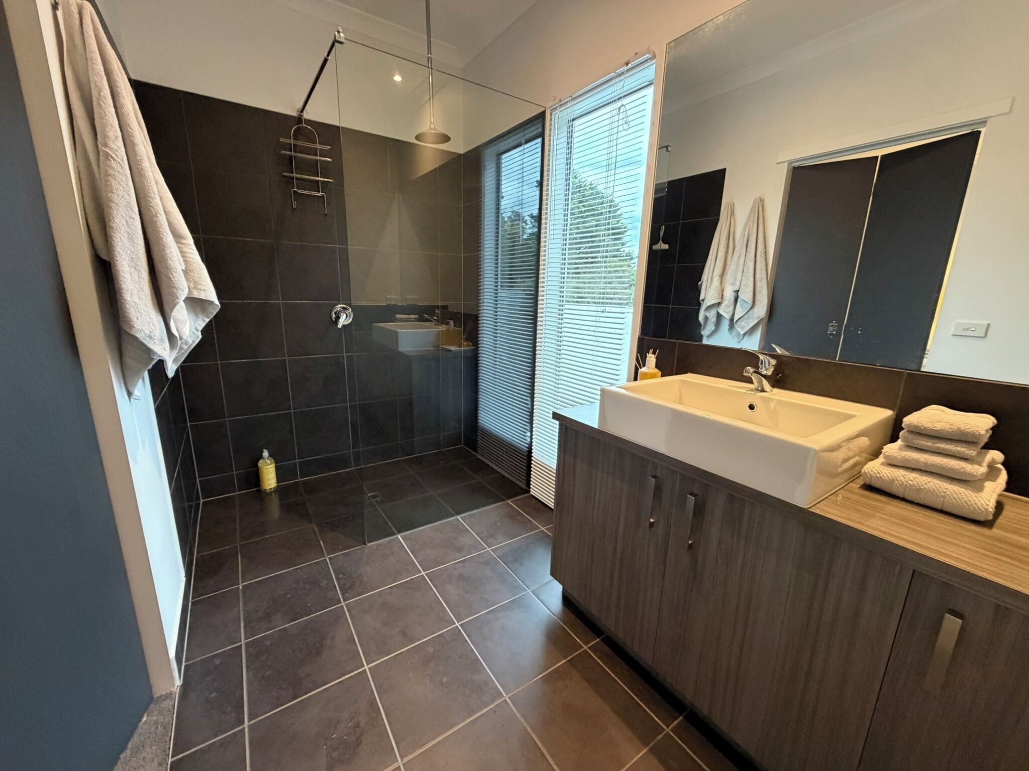 Shower, jetted bath, hair dryer, towels