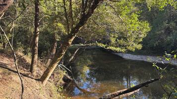 Paisaje natural con una masa de agua, árboles y un puente de madera.