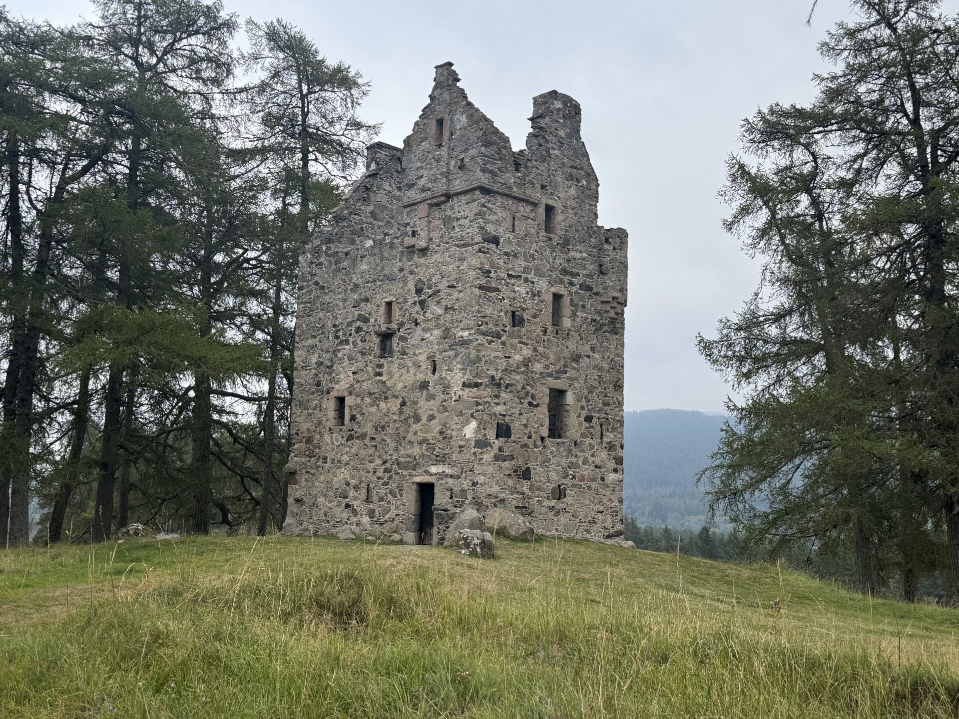 A stone castle ruin surrounded by trees.