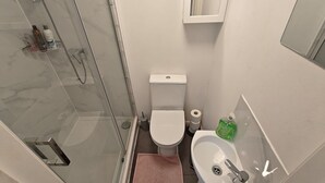 A bathroom with a glass shower enclosure, a toilet, a sink, and a mirror. - Eurostar Private Flat Sleeps up to 10 London (London)