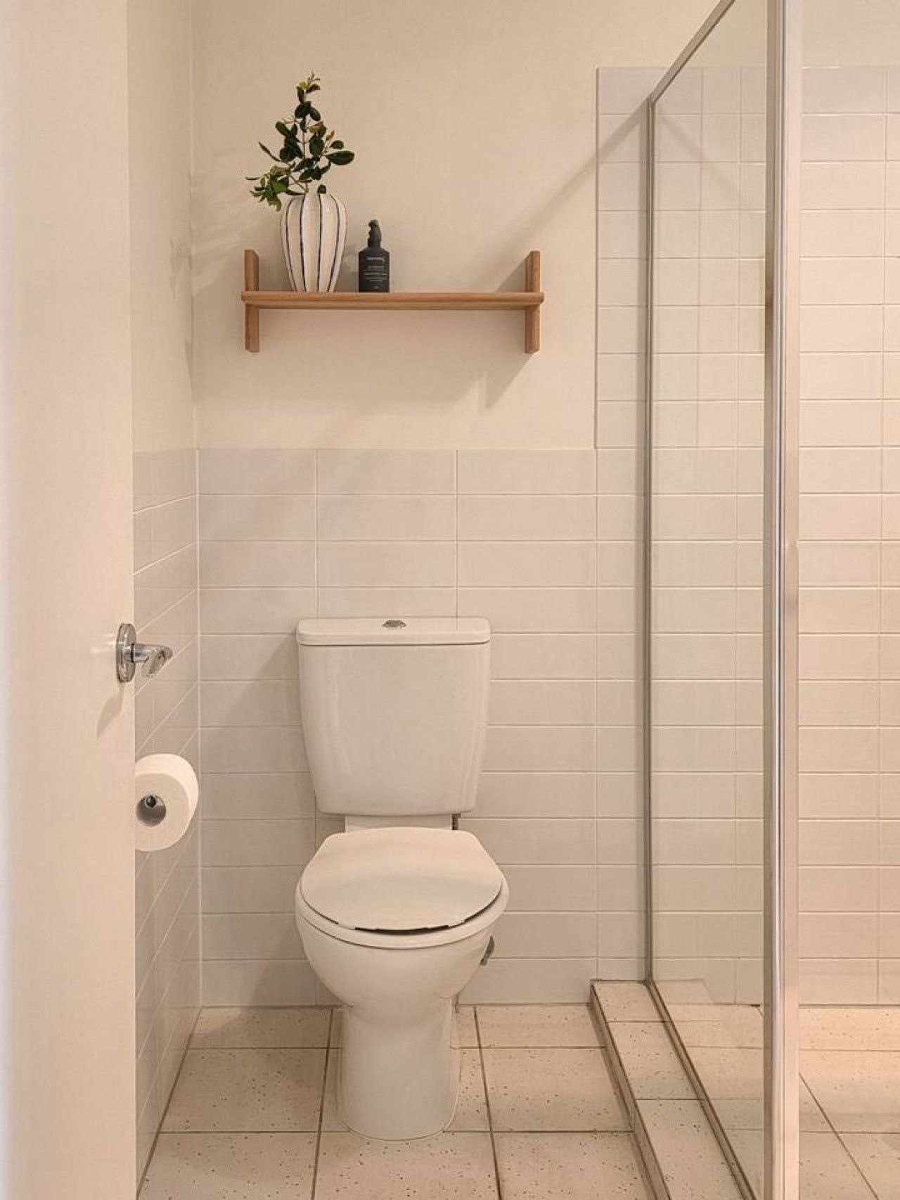 A bathroom with a toilet, a shelf with a plant, and a glass shower enclosure.