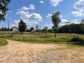 Property grounds - Maine Water Buffalo Farm Guest House (Appleton)