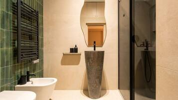 Shower, hair dryer, bidet, towels