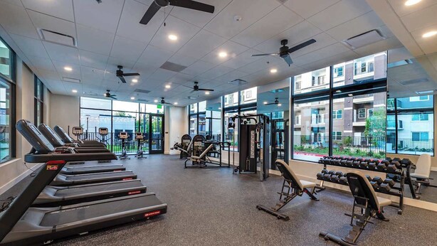 Ein Fitnessstudio mit Laufbändern, Kraftgeräten und Kurzhanteln.