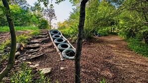 A forested area with a path lined with tires. - The Whole SquatchVilla: Private 4-Cabin Bigfoot Retreat Near Allegheny NF (Marienville)