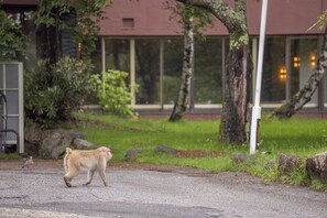 A building with a modern design, large windows, and a paved area in front. - UNWIND HOTEL & BAR OKUNIKKO (Nikko)