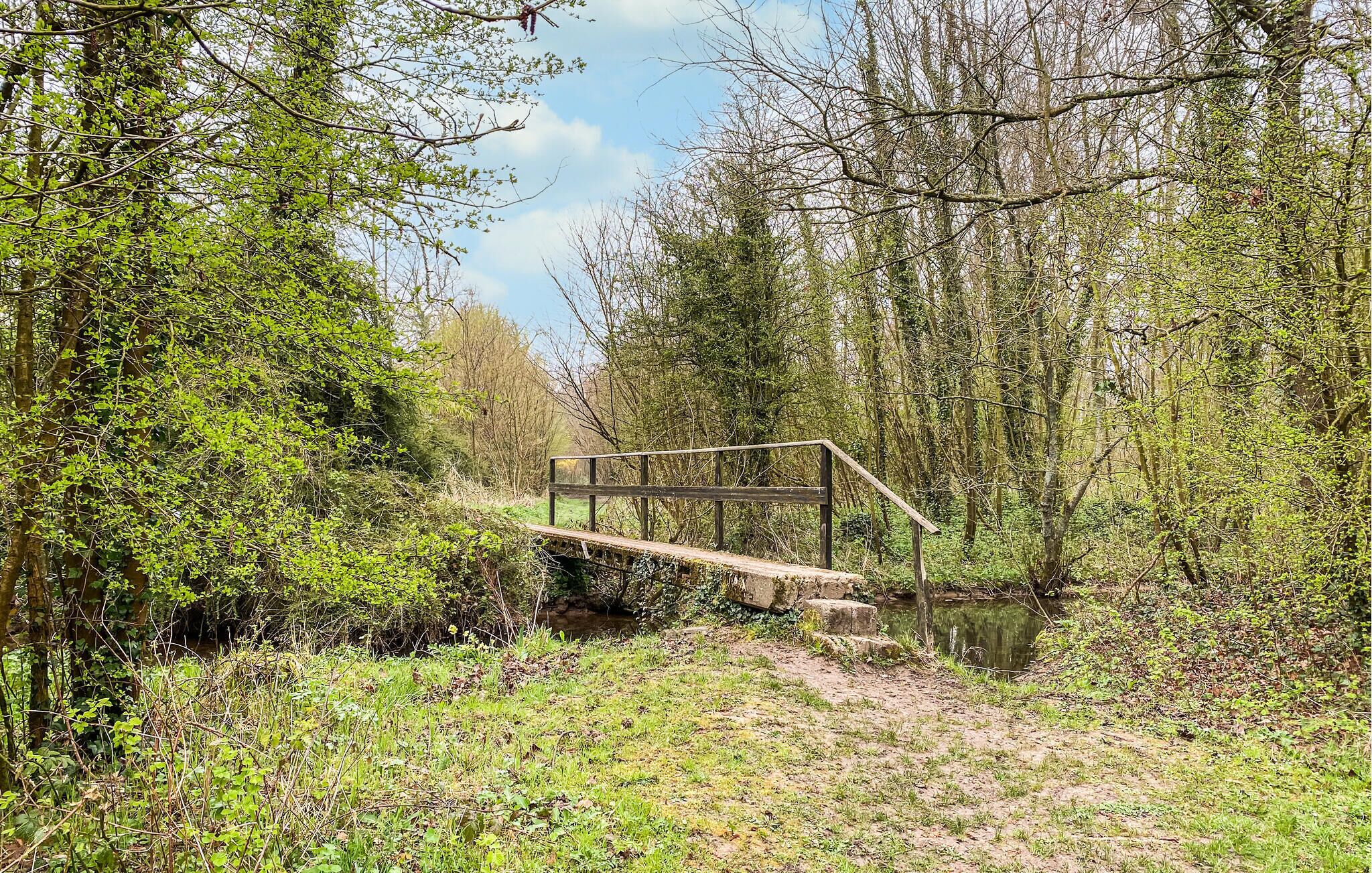 Un pont de bois enjambant un ruisseau, situé dans une zone boisée.