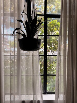 A window with sheer curtains, a hanging plant, and a view of greenery outside. - Eclectic & Cozy LA 1 Bd/1 Bath Apt in Glendale (Glendale)