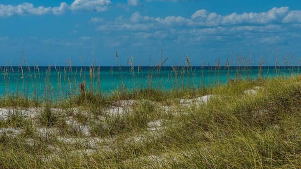 A beach with clear turquoise water, sandy dunes, and sparse vegetation. - Renovated Beachfront Studio | Private Balcony, Pool & Direct Beach Access | $300 Free Fun Included (Panama City Beach)