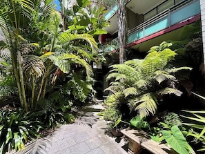 A narrow pathway flanked by lush tropical plants, leading to a building with a red awning. - Stylish 2BR City Escape next Harbour and 2 parking (Woolloomooloo)