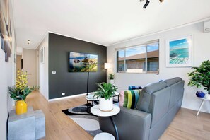 Fernseher, Arbeitsbereiche